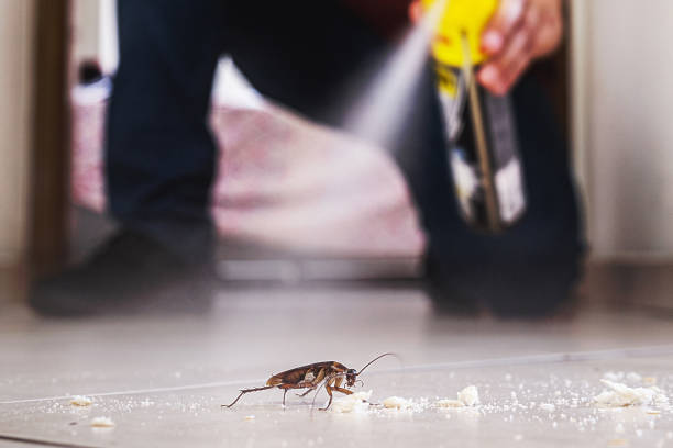 Best Termite Control Services  in Skyline View, PA