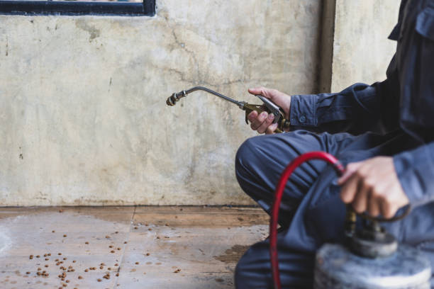 Pest Prevention Services in Skyline View, PA